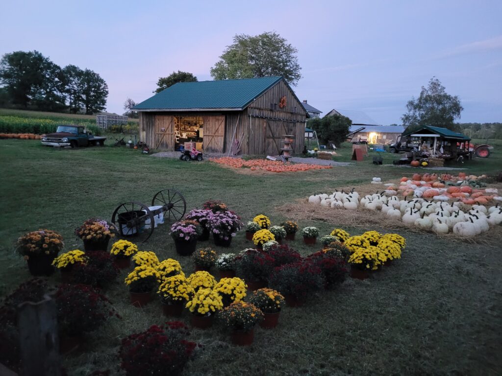 Photo of Coyle's Pumpkin Ranch