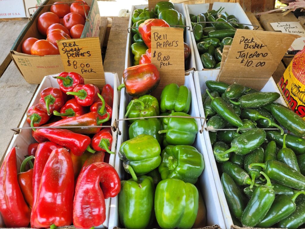 Photo of our variety of peppers available